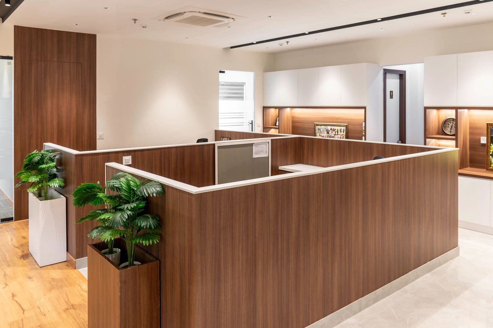 Modern office interior with wooden workstations and plants