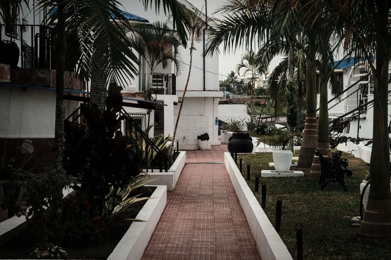 Palm-lined courtyard of a modern home in Mwanza, Tanzania