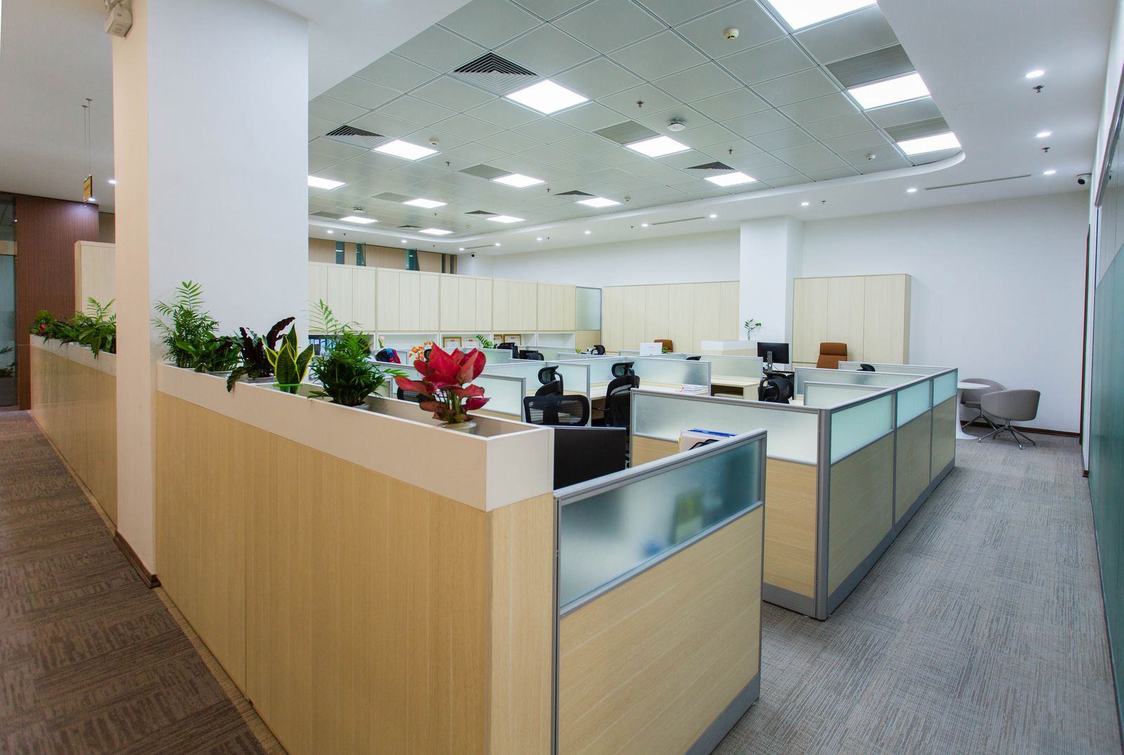 Bright modern open-plan office interior