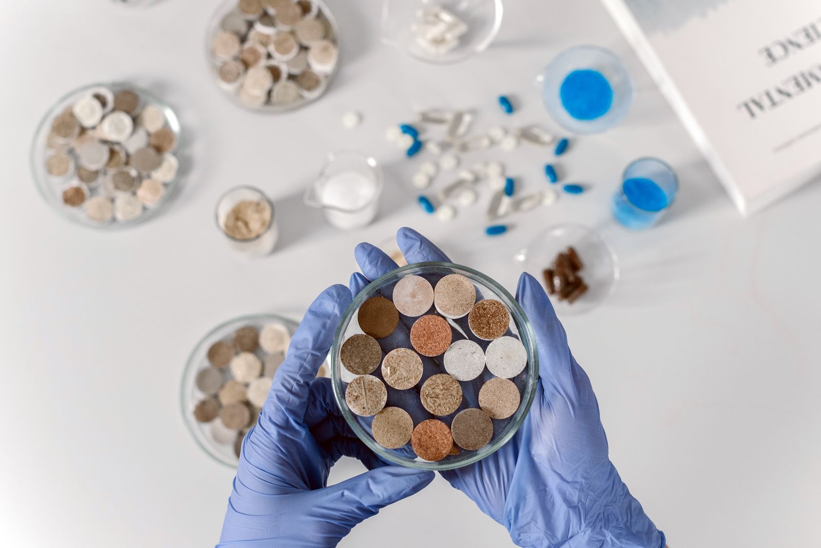 Scientist with gloves examining various soil samples in petri dishes on a clean white background